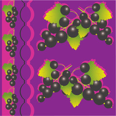 Black currant