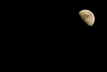 mond