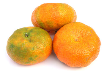 trio de mandarines