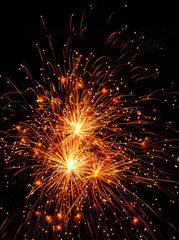 Fototapeta premium Fireworks