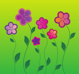 Flowers on a green background