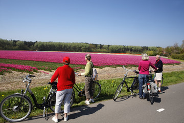 Spectacle des champs de tulipes