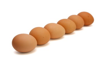 Row of six brown eggs isolated