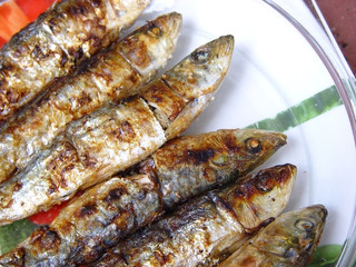 Sardinhas-Sardine-Pilchard-Fish-Sardina-Peixe-Sardinha