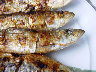Sardinhas-Sardine-Pilchard-Fish-Sardina-Peixe-Sardinha