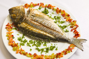 fish
