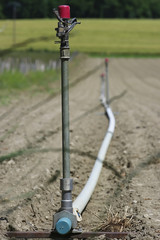 automated irrigation system for vegetables fields