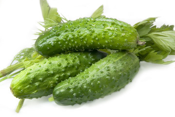 Cucumbers