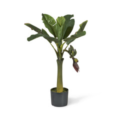 Palme