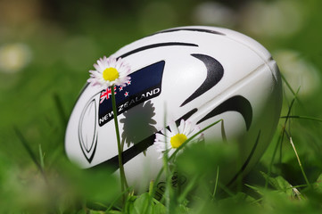 ballon de rugby new zealand