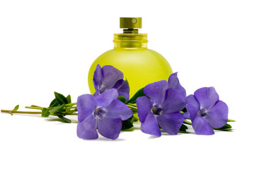 periwinkle and bottle of perfume