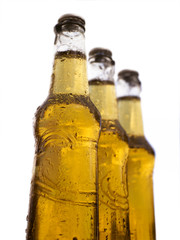 three bottles of beer with white background
