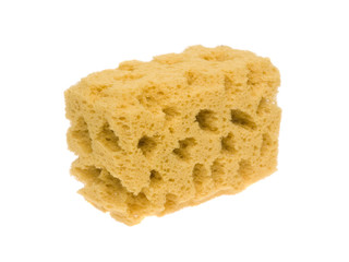 Objects - Sponge