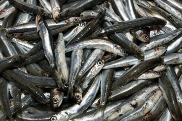 boquerones