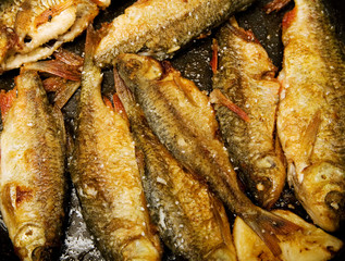 Fried fish