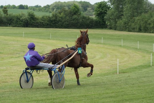 Course Hippique #3