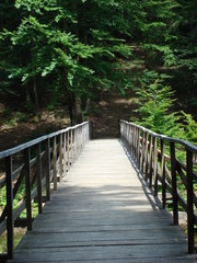 Obraz premium wooden bridge