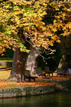 Herbstlaub