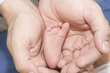 Adult&acute;s hand and baby&acute;s foot