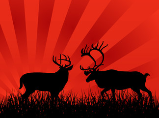 Deer on the grass illustration