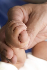 Adult&acute;s and baby&acute;s hand