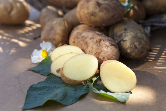 Frisch geerntete Kartoffeln