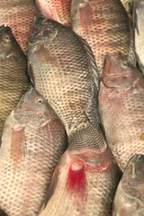fish heap on open market