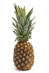 Fototapeta premium Pineapple