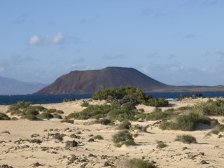 Sand in the desert of Fuerteventura