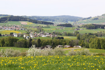 Fr&uuml;hling in der Schweiz