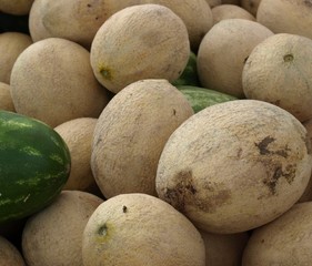 Melons for sale at the market