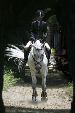 Jinete y caballo