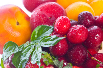 Fresh berries and fruit