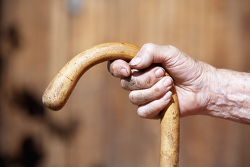 hand holding a cane - 14522845