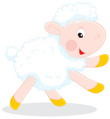 Lamb