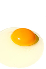 Egg