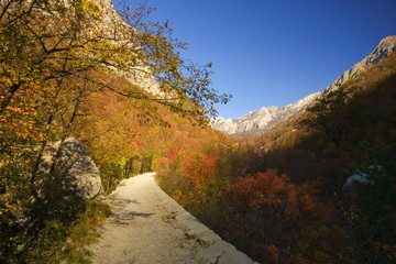 Footpath in np paklenica