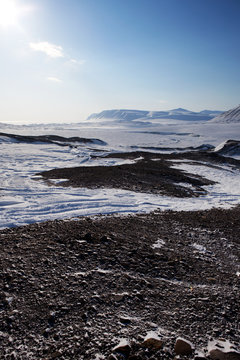 Barren Winter Landscape