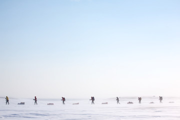 Arktis-Expedition