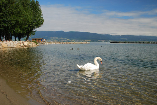 The camping beach at Neuchatel lake close to Estavayer-le-Lac in