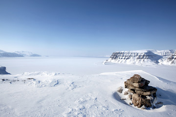 Winter Snow Wilderness