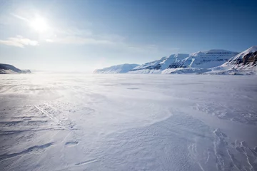 Deurstickers Arctica Berg Winterlandschap
