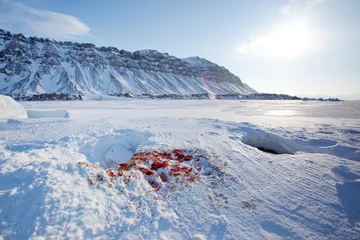 Deurstickers Arctica Zeehondenjacht