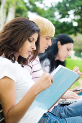 students studying in park