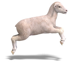 Fototapeta na wymiar lamb