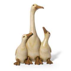 Gänse © dudek
