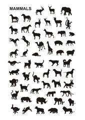 vector silhouettes of mammals