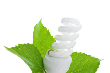 ampoule fluorescente et feuille verte sur fond blanc