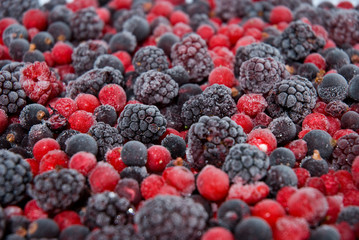 Beeren 3