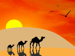 Fototapeta na wymiar 3d image of camels silhouettes in the desert at sunset